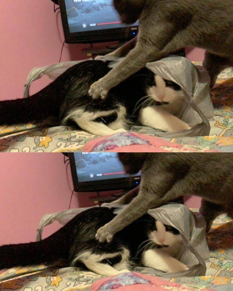 reddit.com/rollercoaster-jpg